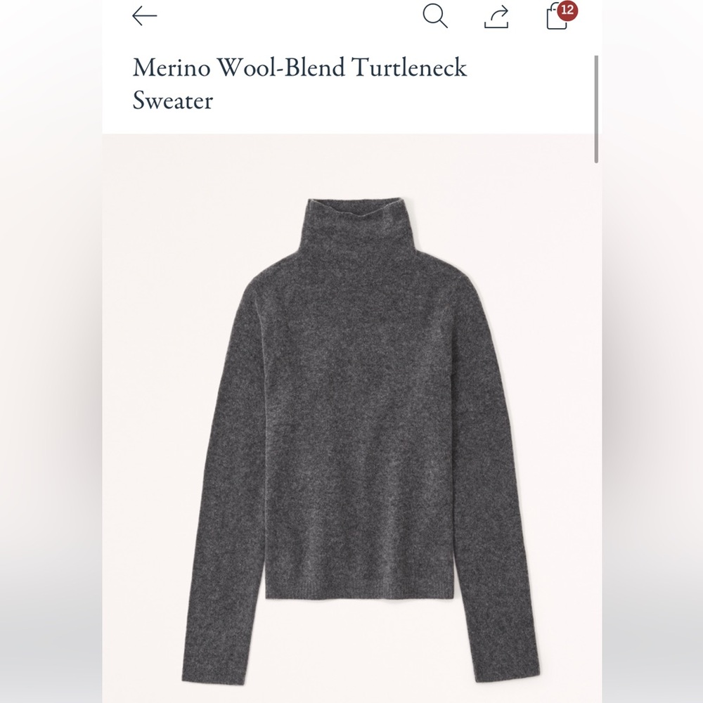 Abercrombie & Fitch Merino Wool-Blend Turtleneck
Sweater